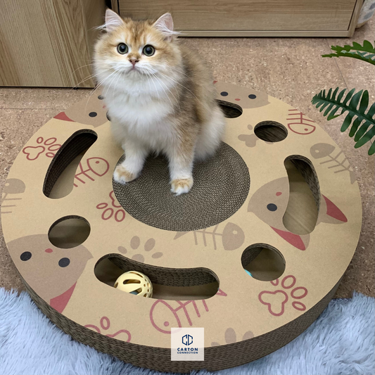 Interactive Scratch Wheel